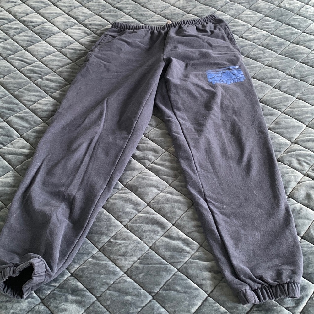 Patagonia sweatpants